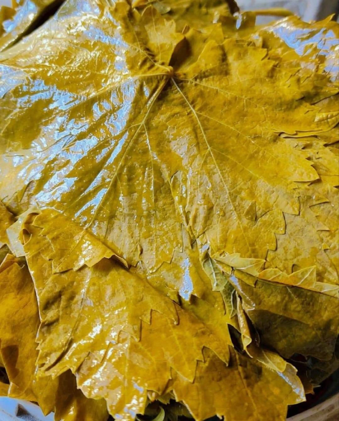 Salamura Yaprak - 1 Kg | Osmaneli Yöresel Lezzeti - Görsel 3