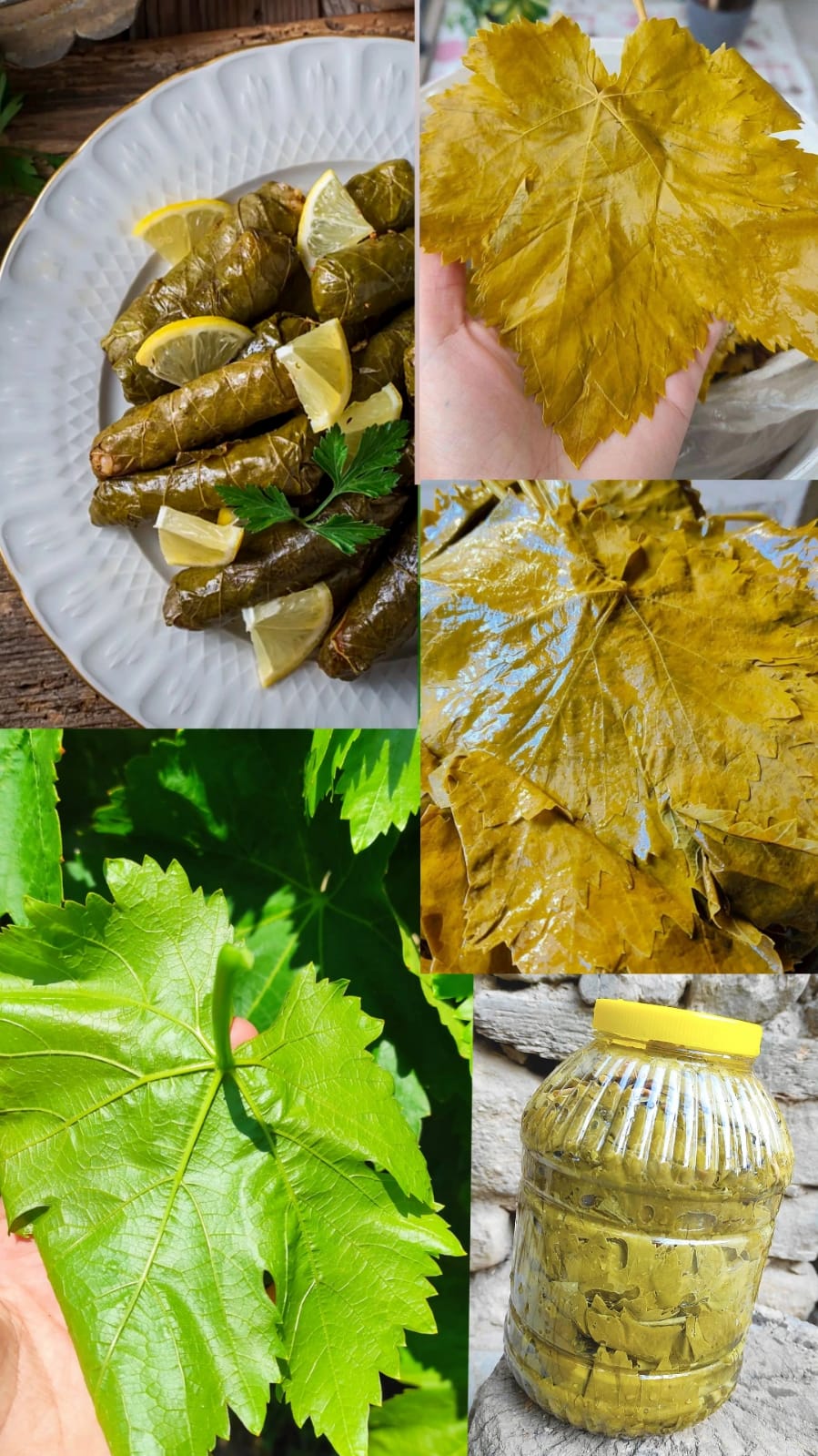 Salamura Yaprak - 1 Kg | Osmaneli Yöresel Lezzeti - Görsel 5