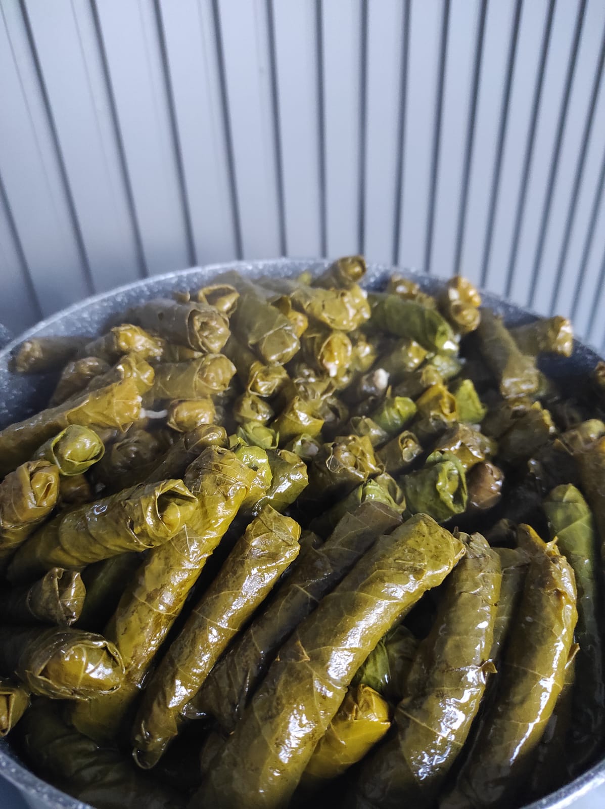 Organik yaprak sarma